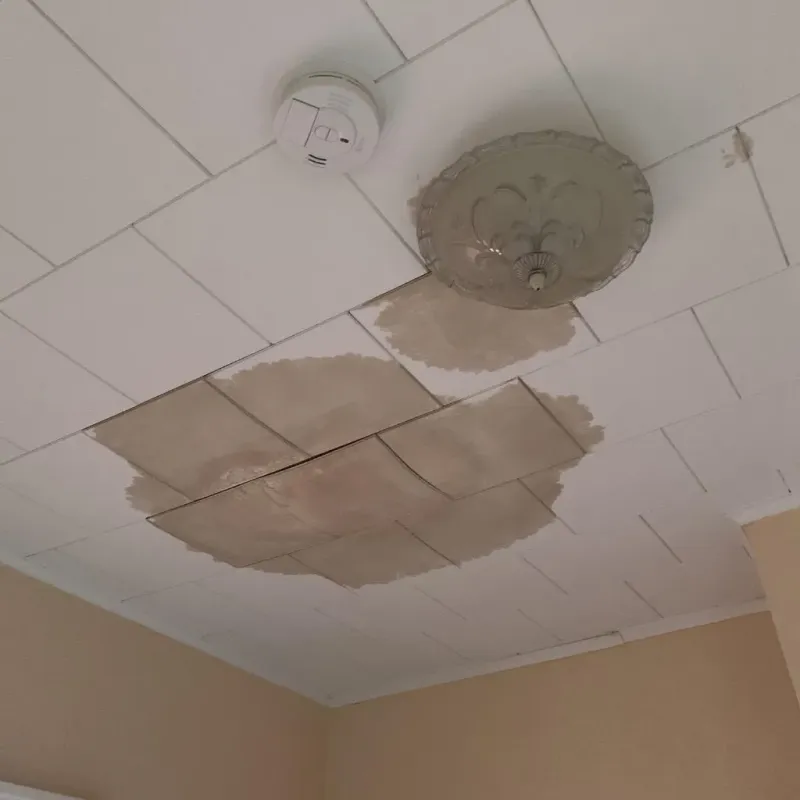 Ceiling Water Damage Repair in Meadowbrook, CA